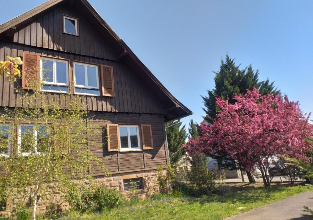 Ferienwohnung A La Vieille Faience Wintzenheim Exterior foto